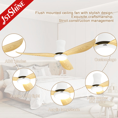 52 Inch Low Profile Ceiling Fan With Light Plastic Blade DC Motor Low Noise