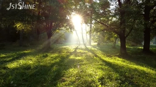 Lampu Kipas Langit-langit 42 Inci Modern Flush Mount